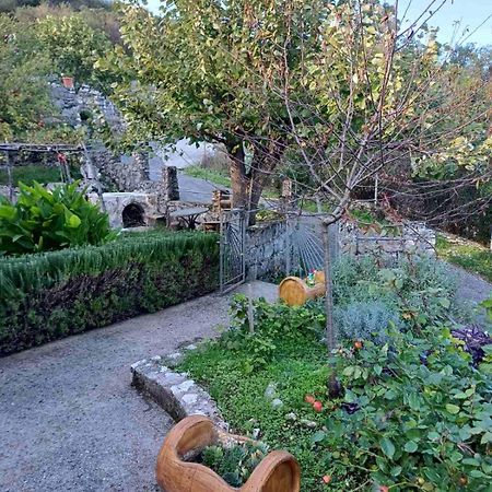Country House "Lipa" Komarno Virpazar Exteriér fotografie