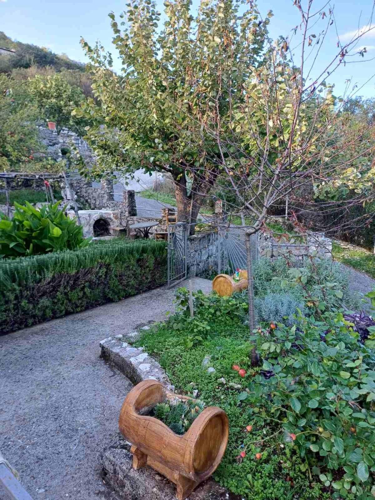 Country House "Lipa" Komarno Virpazar Exteriér fotografie